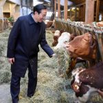 Wirtschaftsdelegation aus China zu Besuch bei BIO AUSTRIA-Betrieb, chinesischer Gast füttert heimische Tiere
