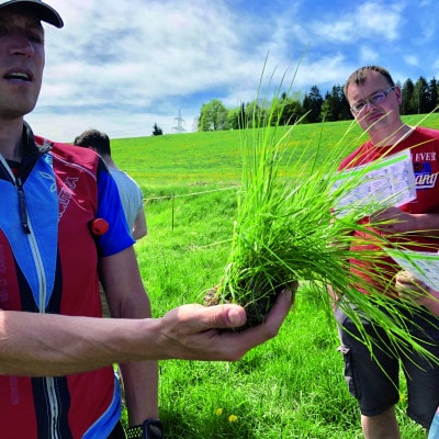 Gräserbestimmung 2019