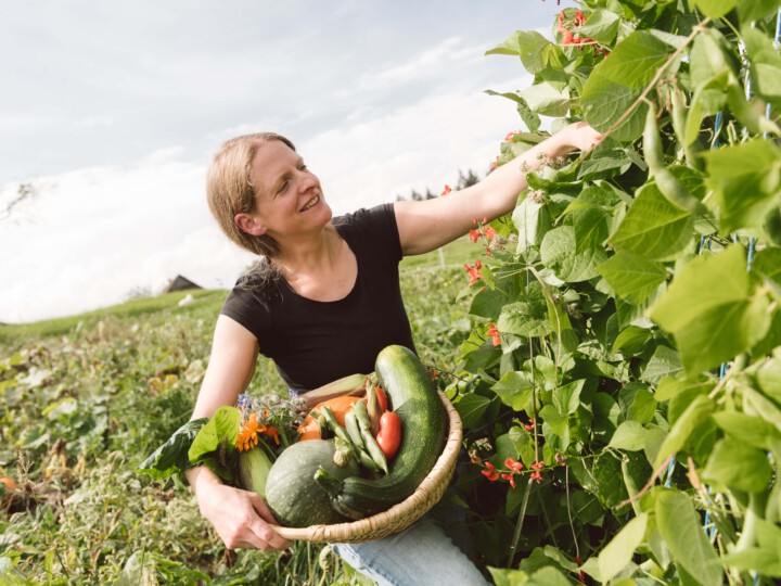 Frau erntet Gemüse