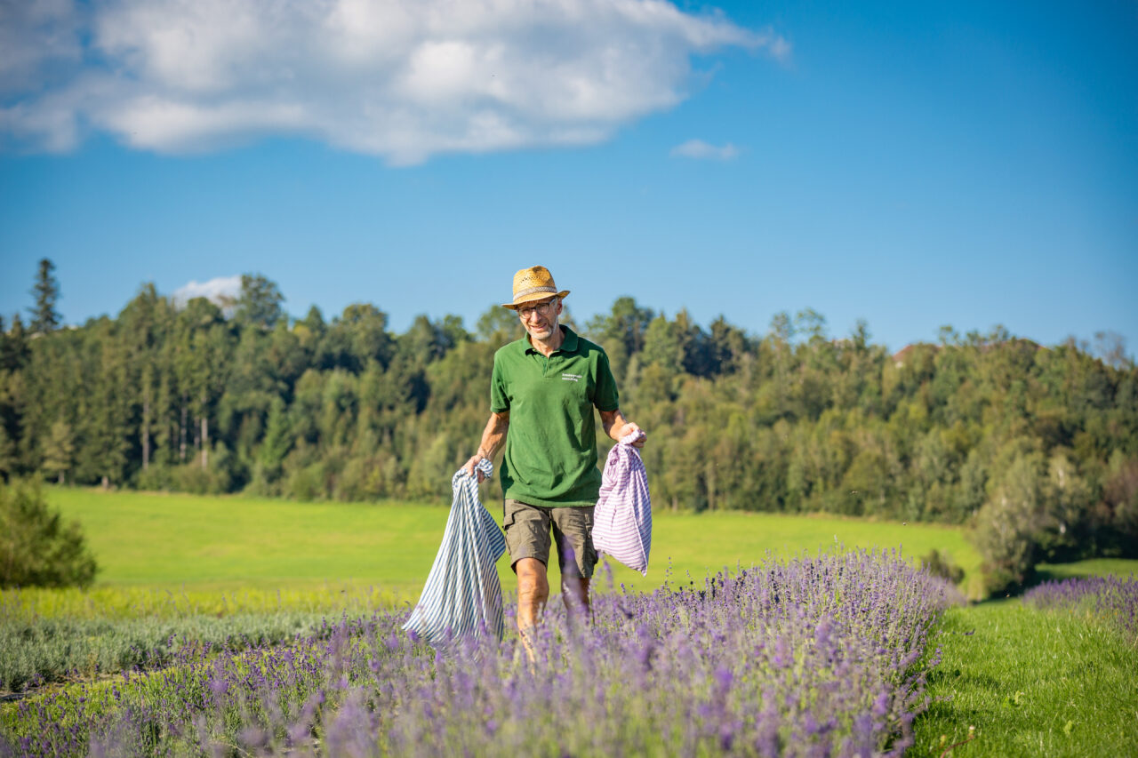 Mann mit 2 Säcken im Lavendelfeld
