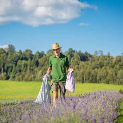 Mann mit 2 Säcken im Lavendelfeld