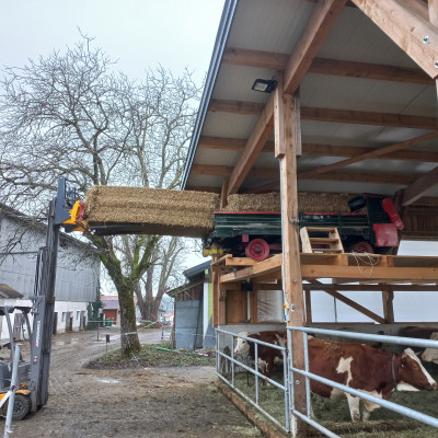 © Walter Ibertsberger