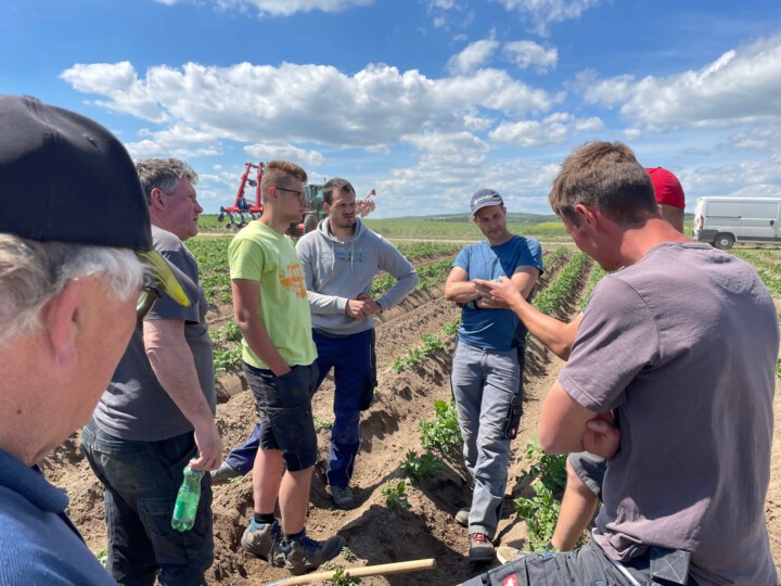 Bauern besichtigen Kartoffelfeld