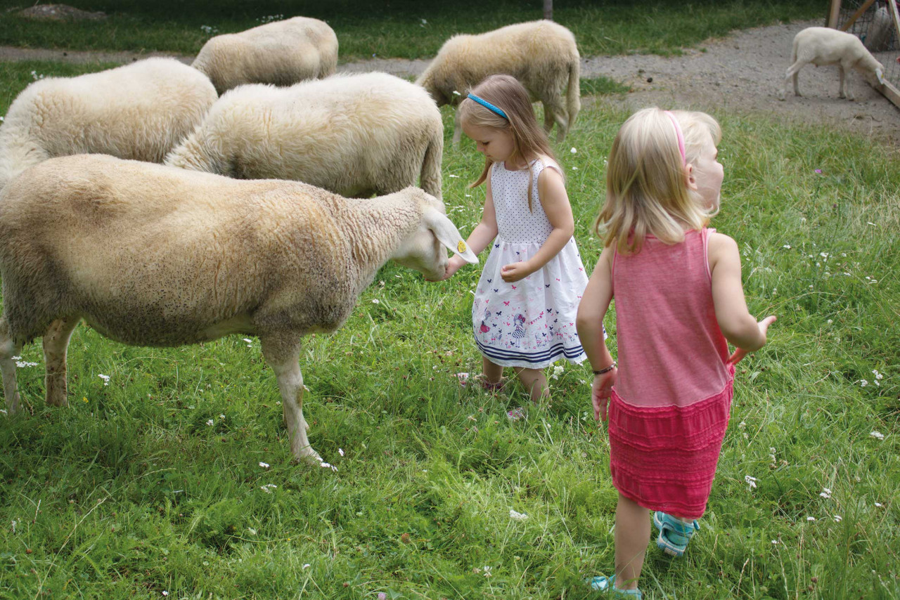 Zwei kleine Mädchen bei den Schafen