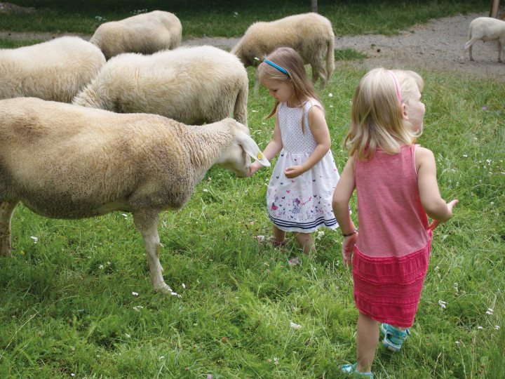 Zwei kleine Mädchen bei den Schafen