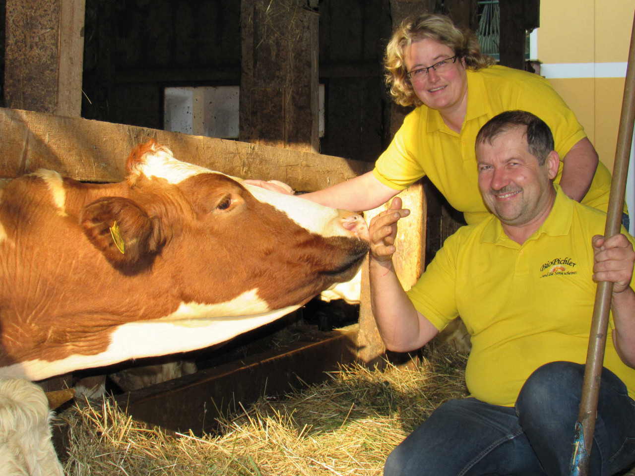 Familie Pichler im Stall bei den Kühen