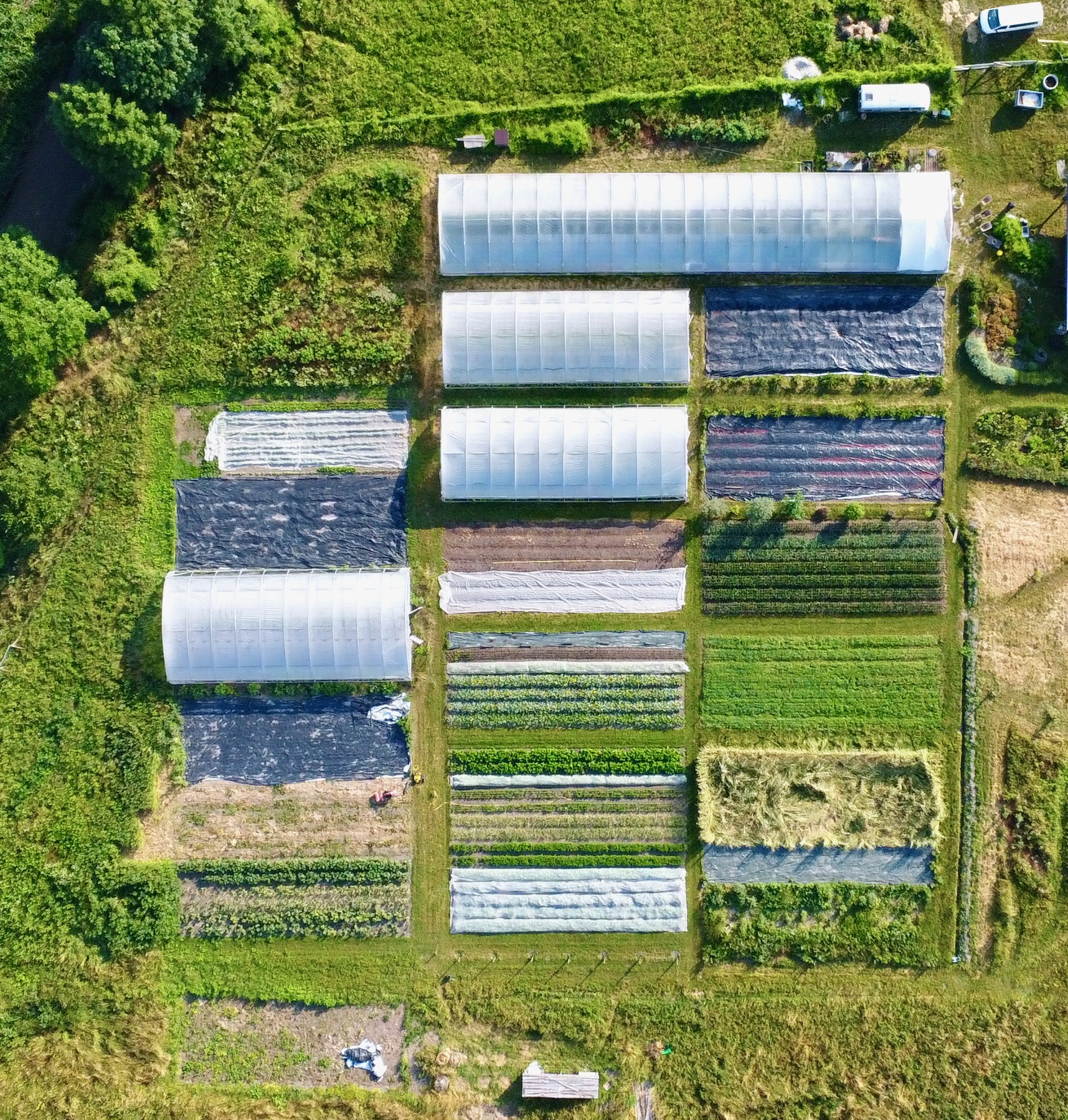 Marktgärtnerei von oben