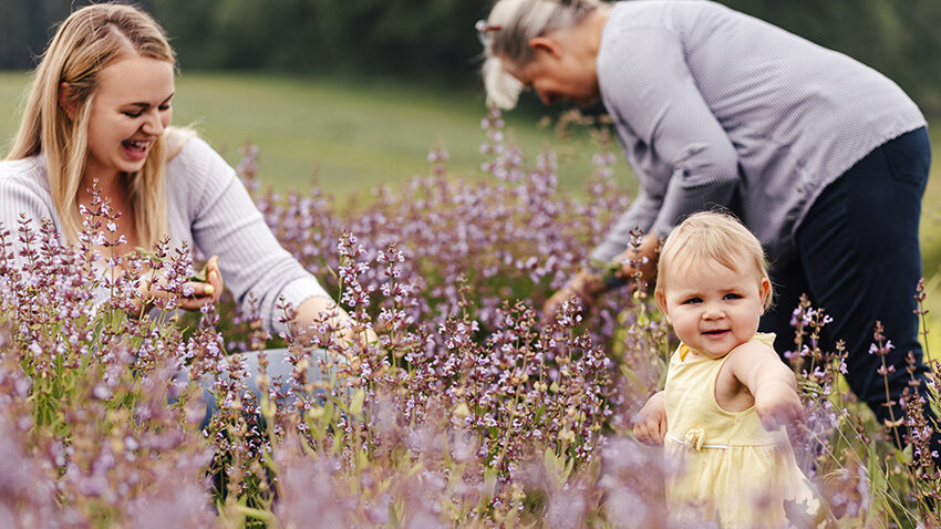 Bio-Kräuterhof Aufreiter