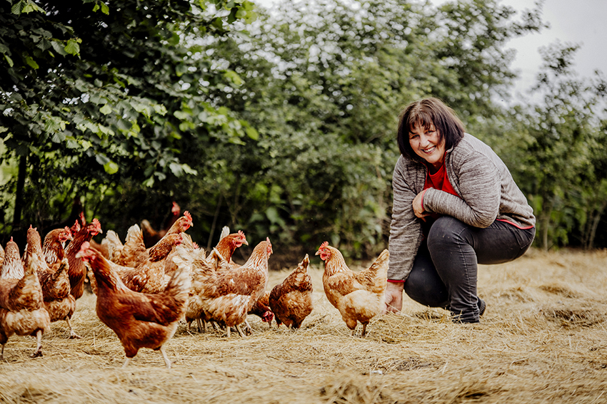 Pankrazhof, Familie Zimmer