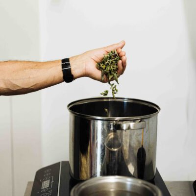 © Slow Food Österreich/ Butter & Salt Kräutertee wird im Topf zubereitet