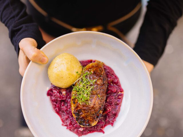 Teller mit veganer Bio-Ente