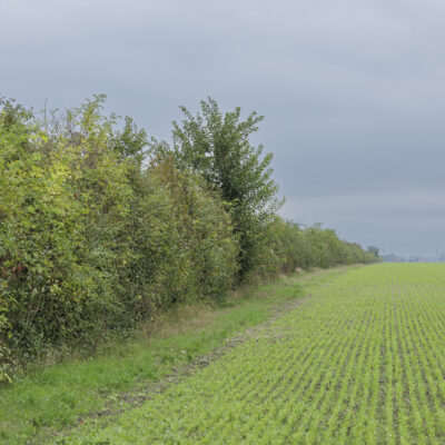 © BIO AUSTRIA/APA-Fotoservice/Rudolph