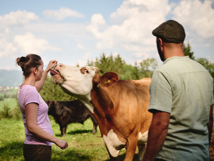 Mann und Frau mit Kuh auf Weide