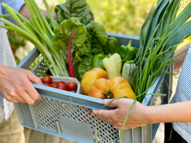 Gemüsekiste mit bunten, vielfältigen Gemüsesorten