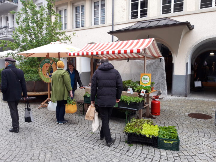 Erdreich Setzlingsmarkt