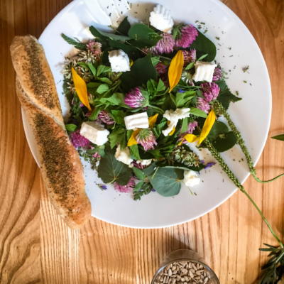 © Elisabeth Leitner