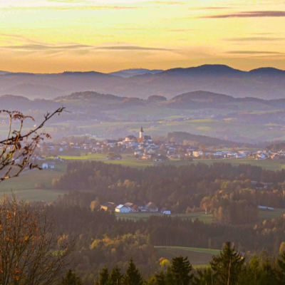 © Anneliese Steinmayr