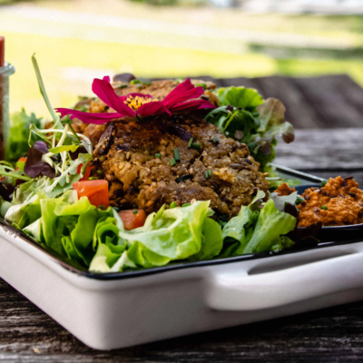 © Anneliese Steinmayr