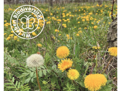 Deckblatt Bio.Info Burgenland 2/2025