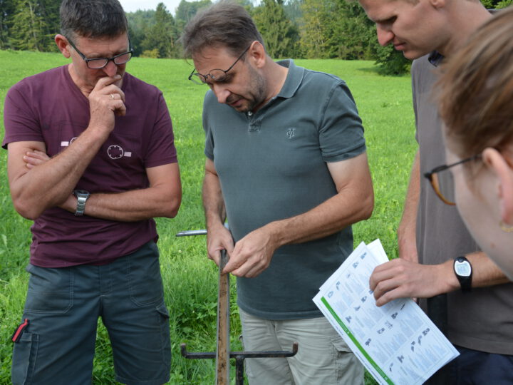 Beratung im Grünland