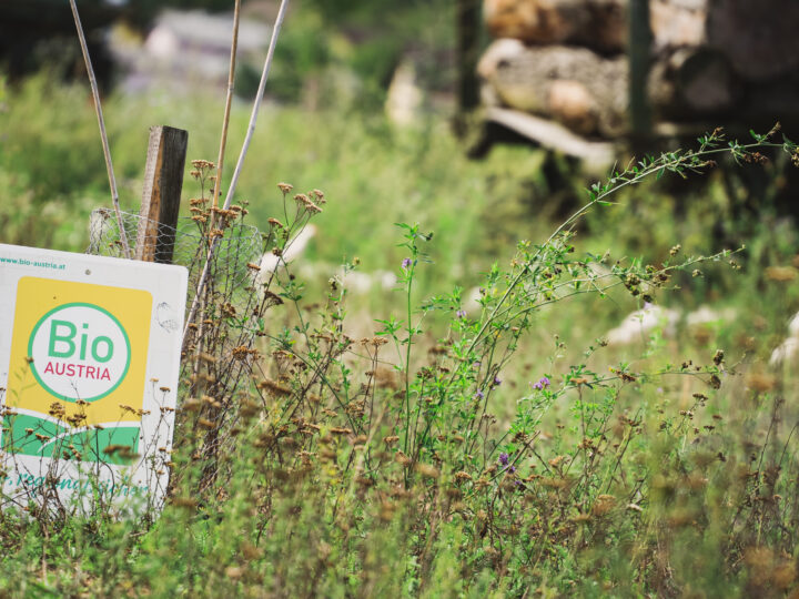Bio-Betrieb Jernej, vulgo Biohof Sotor, in Feistritz ob Bleiburg,