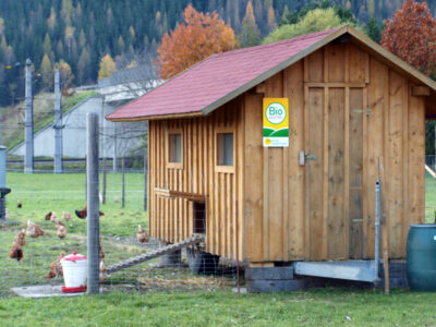 Hühner mit Stall