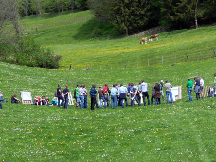 Menschen bei Kurs auf Wiese