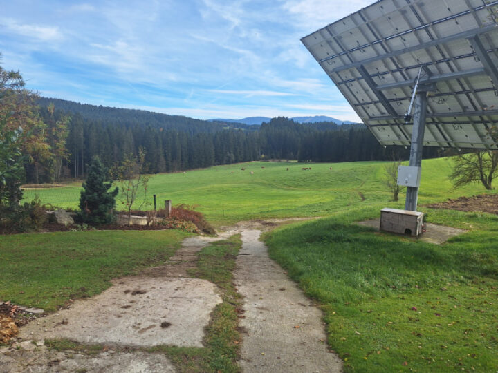 Weide mit Photovoltaik