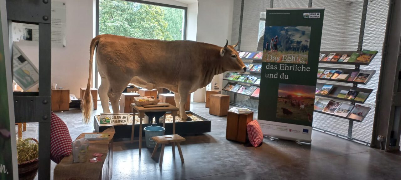 Ausgestopfte Kuh mit Melkstation für Kinder