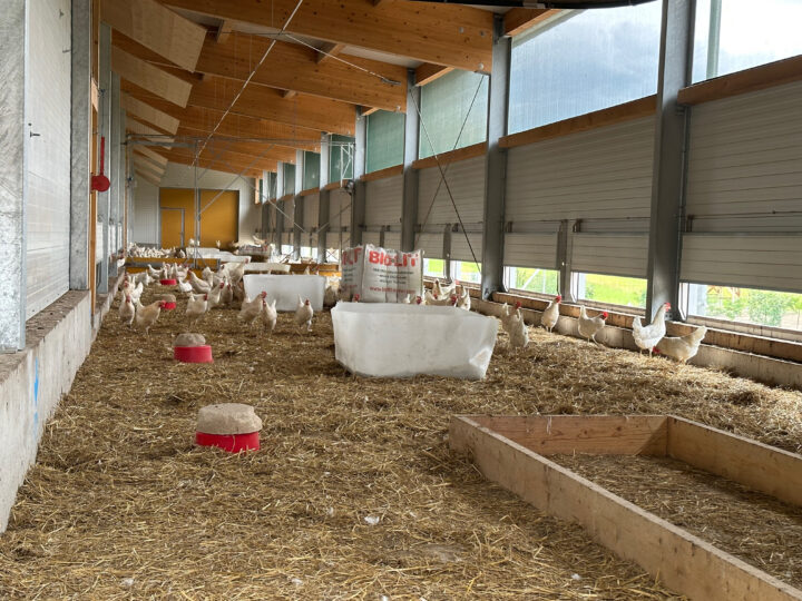 Außenschauraum Geflügelbetrieb