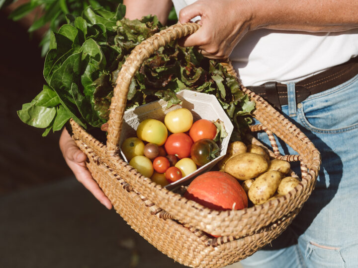 diverses Gemüse und Kartoffel im Korb
