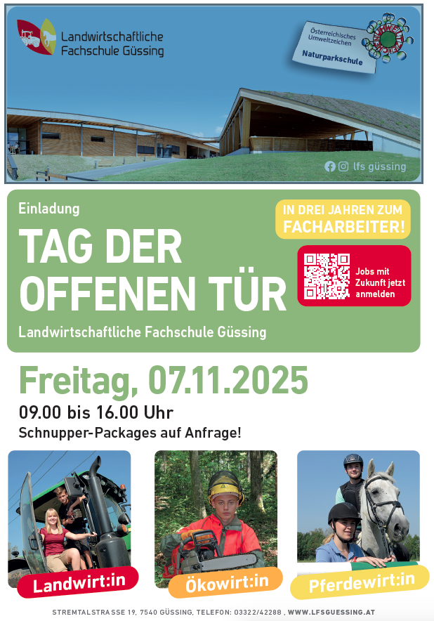 Flyer Tag der offenen Tür Güssing