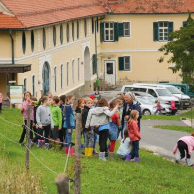 © Bio Ernte Steiermark Führung beim Bio-Kartoffelfest