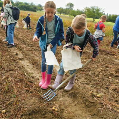 © Bio Ernte Steiermark Kinder beim Kartofelgraben