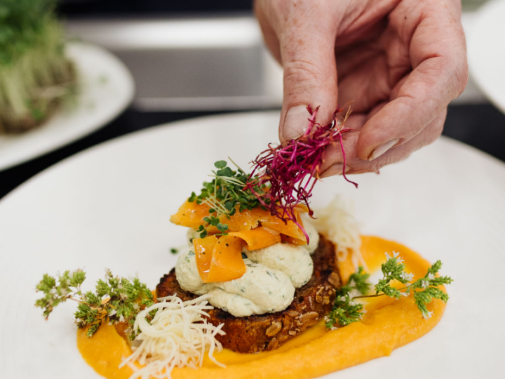 Bio-Gericht auf Teller