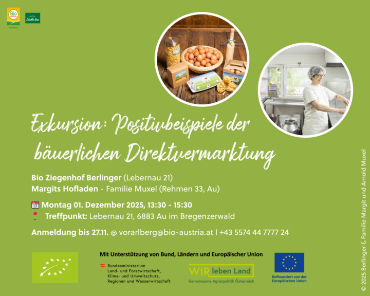 Einladungsflyer