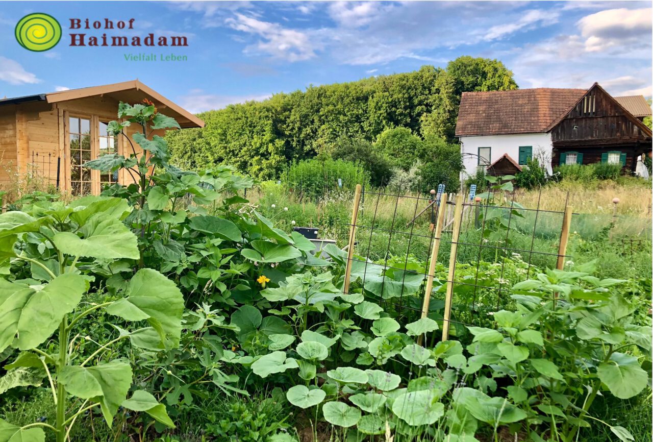 Bio-Schaubauernhof mit Gemüse