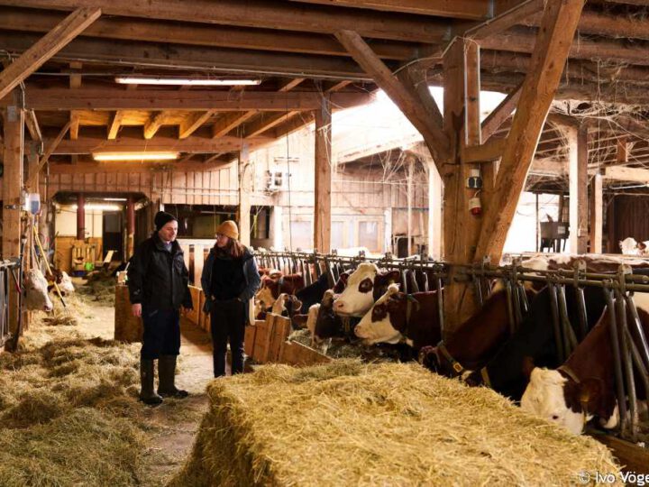 Kuhstall mit zwei Personen im Gespräch