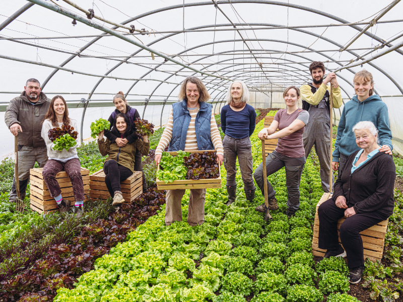 Mitarbeiterinnen des Bio-Gemüsebetriebs Jaklhof im Gewächshaus