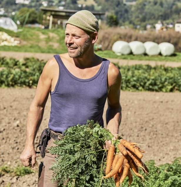 Gemüsebauer am Feld mit Karotten in der Hand