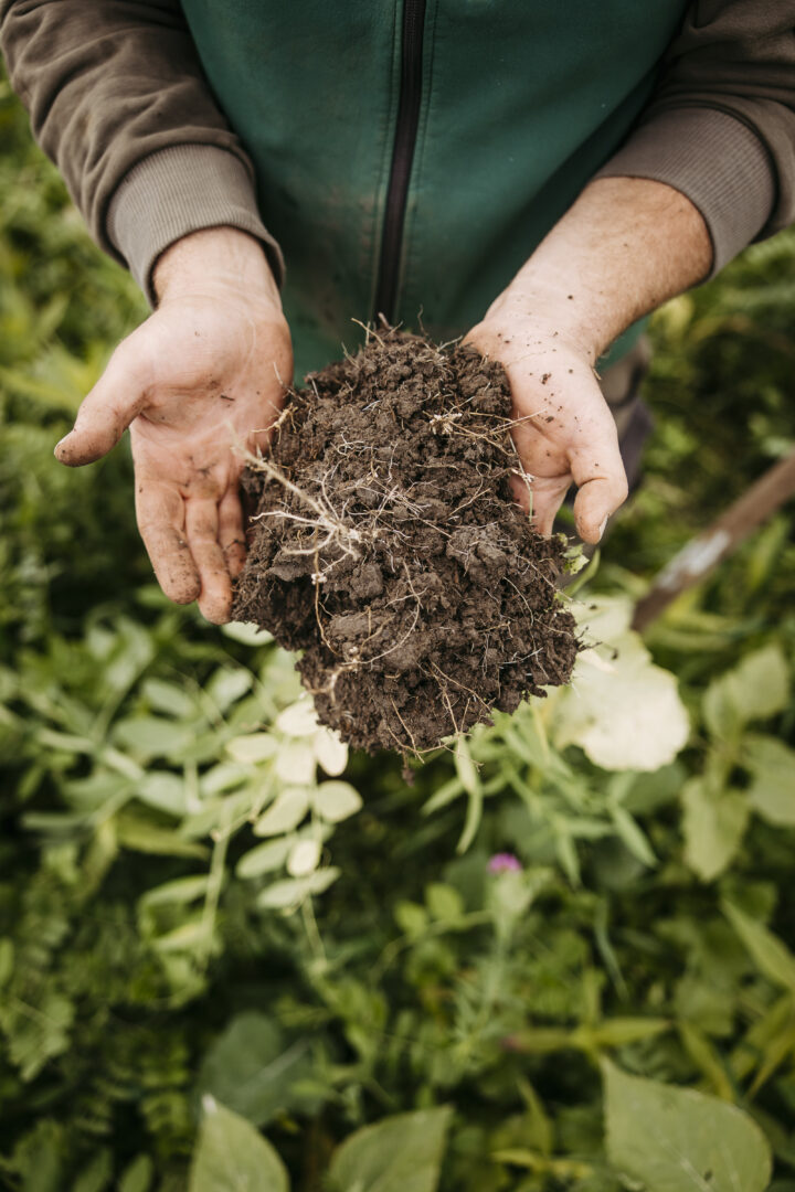 Landwirt mit Erde in den Händen