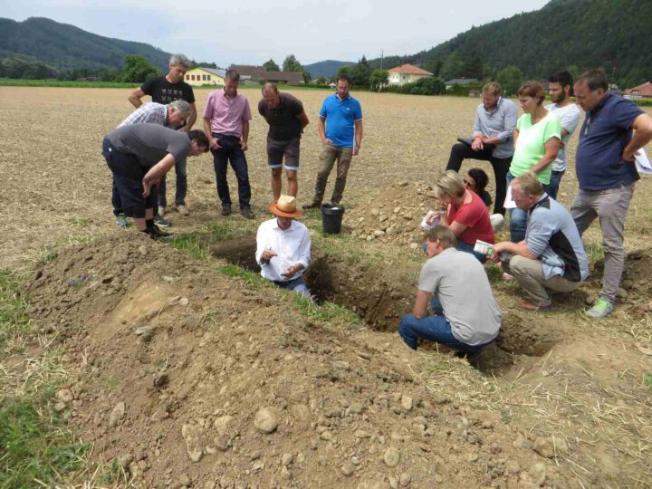 Bodenpraktikergruppe bei der ökosystemaren Bodenansprache