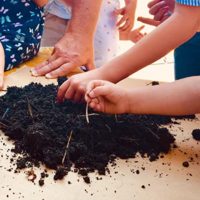 © BIO AUSTRIA NÖ&Wien