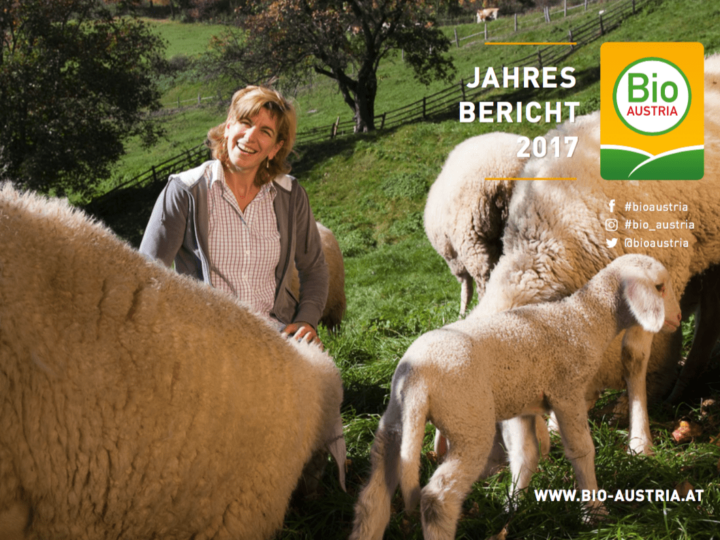 Titelbild Jahres Bericht 2017 Bäuerin mit ihren Schafen