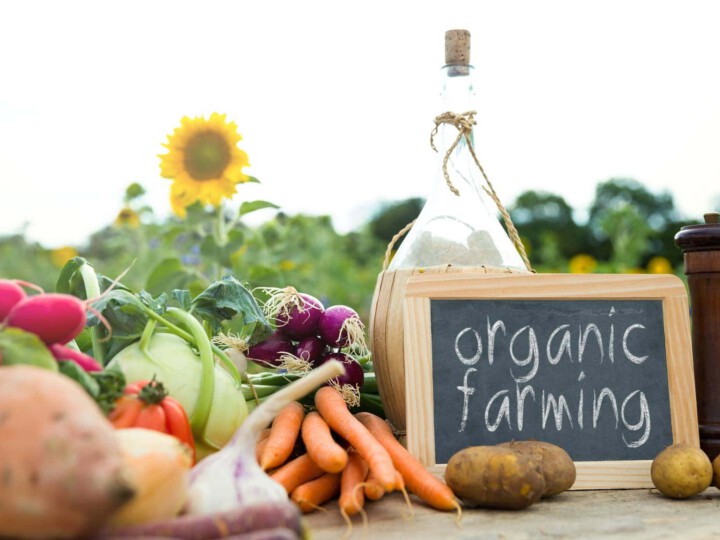 Gemüse und Schild mit der Aufschrift organic farming