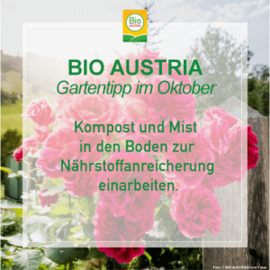 Gartentipp im Oktober