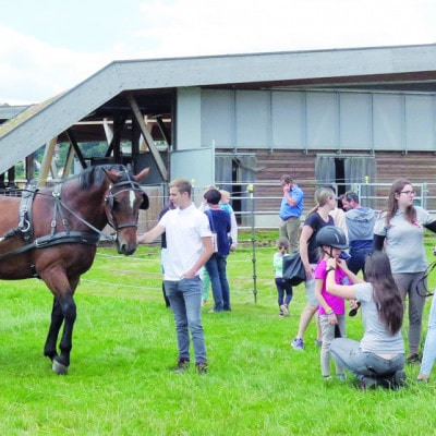 © BIO AUSTRIA Burgenland Pferdereiten und Kutschenfahren für die Kinder