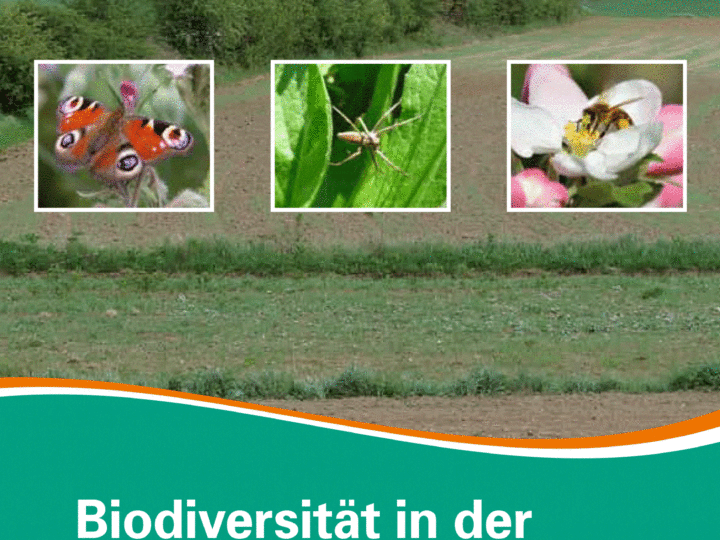 Titelblatt Biodiversität in der Agrarlandschaft