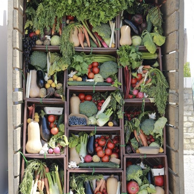 © BIO AUSTRIA NÖ&Wien/ Martin Hesz