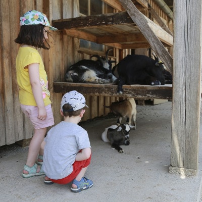 © BIO AUSTRIA NÖ&Wien/ Martin Hesz